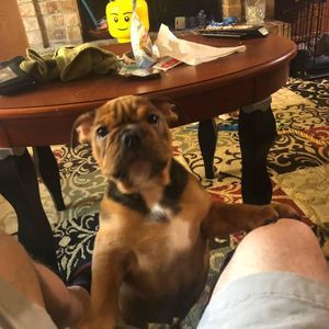 Meet your Posher, Mark